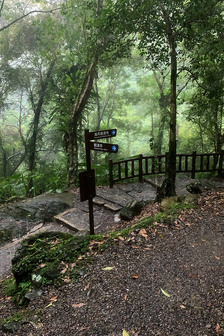 新北健行|滿月圓國家森林遊樂區|簡單負離子步道行程