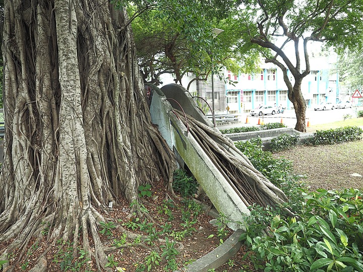 【小惡魔振興券】臺南市 南區 水交社文化園區 — 集先人長眠之所、日軍宿舍、國軍眷村於一處，具有歷史縱深之場景