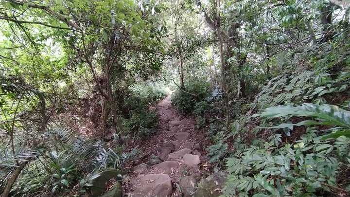 [樂山童盟] [桃園大溪] 溪洲山步道(新溪洲山-石門水庫)