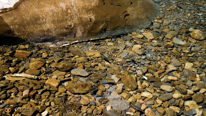 攻頂台版富士山｜加里山包車攻頂一日遊