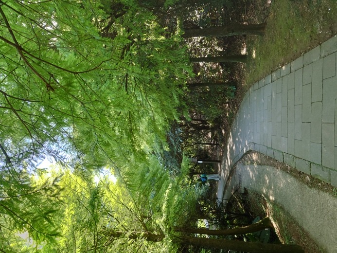 台灣首款通過認證5G手機Sony Xperia 1 II 開箱評測