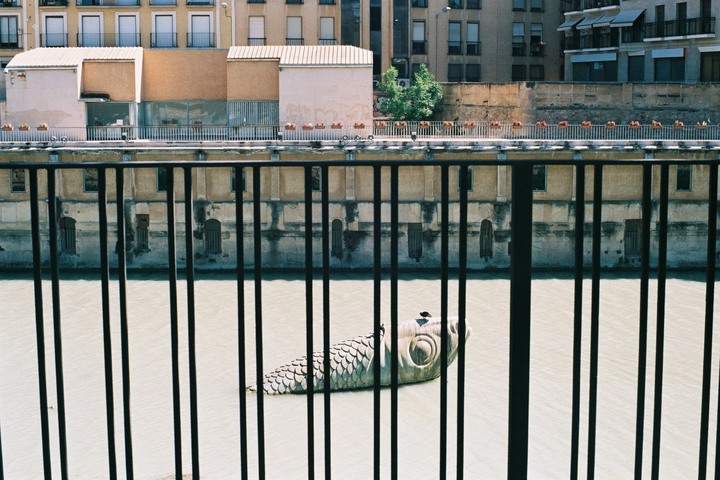 點我看大圖 分享 OLYMPUS OM1 2019 測評