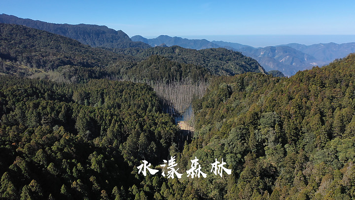 【水漾森林】新阿溪縱走下集|美哭火燒雲|絕美仙境|最夢幻的登山路線|圓糖混哪裡全新登山冒險節目!