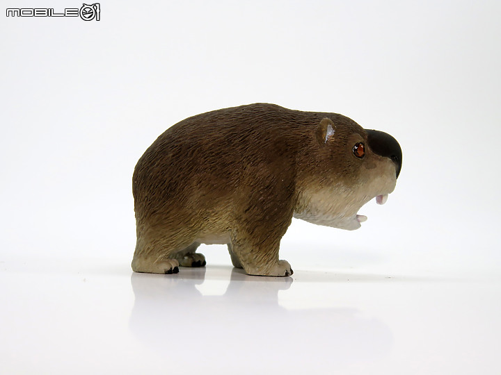 [原型創作]小雙門齒獸