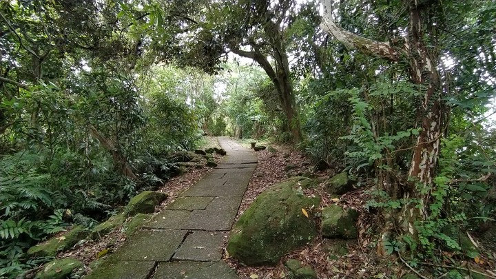 [樂山童盟] [桃園大溪] 溪洲山步道(新溪洲山-石門水庫)