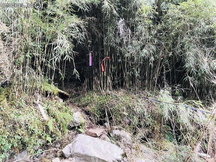 【雪山西稜縱走】趣味橫生 必去縱走 - Day 3