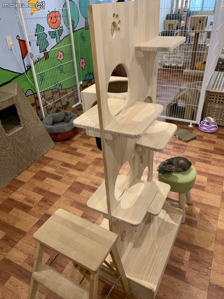 【小惡魔振興劵】台中悠閒景點 Glocke Bakery G貓甜點+台中市科博館(植物園)+彩虹村