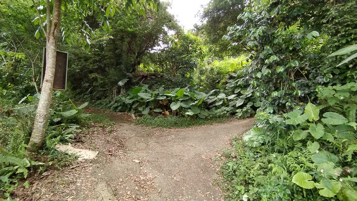 [樂山童盟] [桃園大溪] 溪洲山步道(新溪洲山-石門水庫)