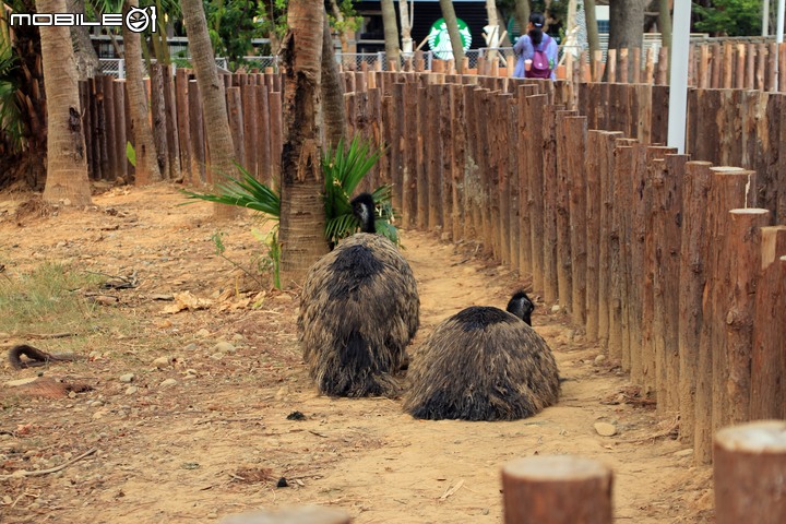 【小惡魔振興券】新竹市立動物園。2019年底重新開幕,逛全台現存最古老動物園,還能欣賞日治時期古蹟