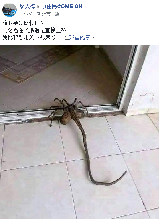 這是什麼東東阿？