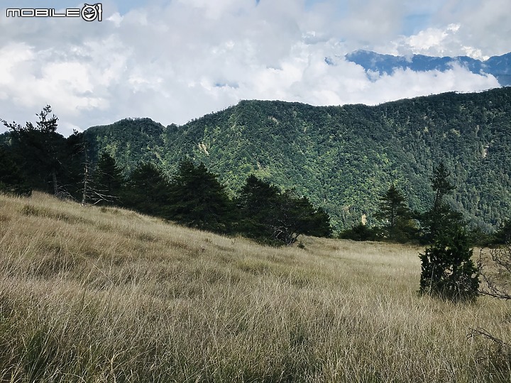 【百岳】武陵四秀2日行 – Day 2