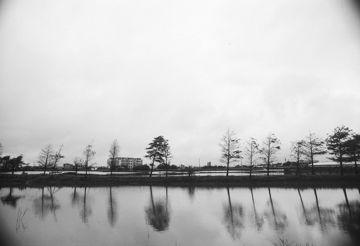 點我看大圖 分享 OLYMPUS OM1 2019 測評