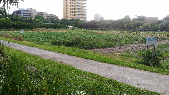 【小惡魔振興劵】 台北輕旅行,在都市中感受田園光和穿越時空的日式風情 - 台灣大學