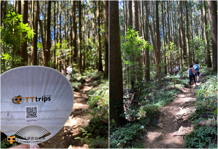 攻頂台版富士山｜加里山包車攻頂一日遊