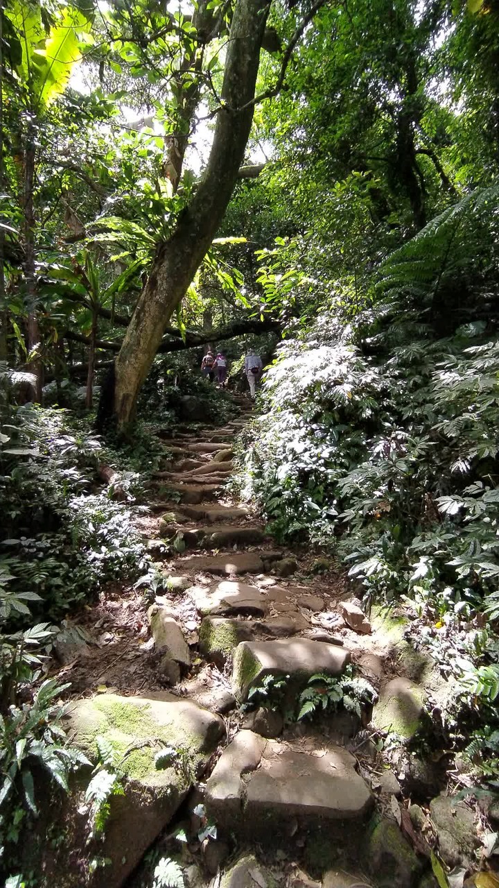 [樂山童盟] [桃園大溪] 溪洲山步道(新溪洲山-石門水庫)