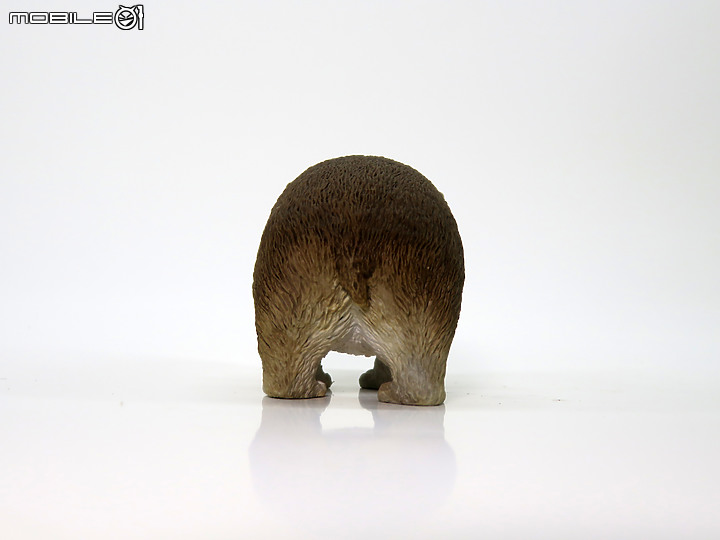 [原型創作]小雙門齒獸