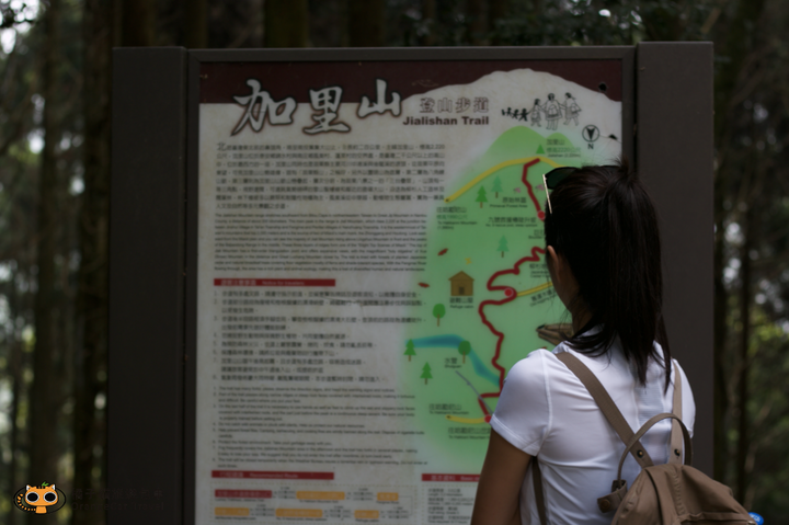 攻頂台版富士山｜加里山包車攻頂一日遊