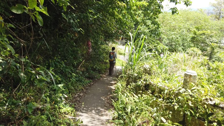 [樂山童盟] [桃園大溪] 溪洲山步道(新溪洲山-石門水庫)