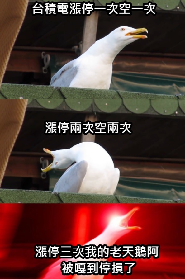 如果抬雞電每漲停一次加碼空一次有勝算嗎? 一萬三千點做空有勝算嗎?