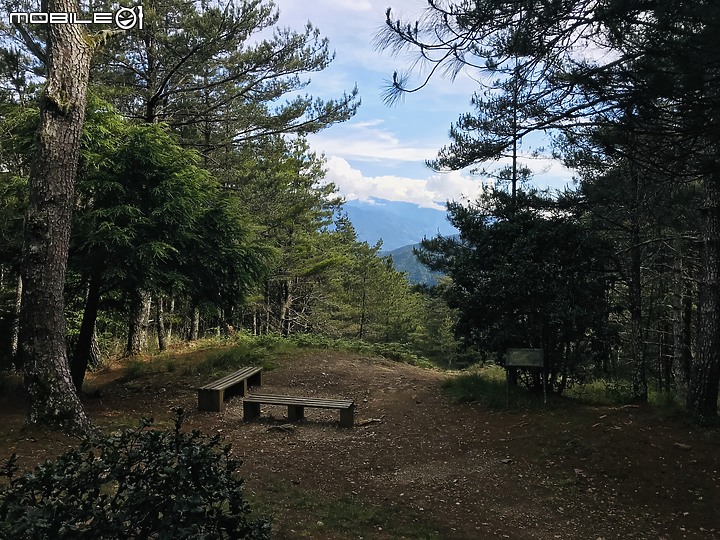 【百岳】武陵四秀2日行 – Day 2