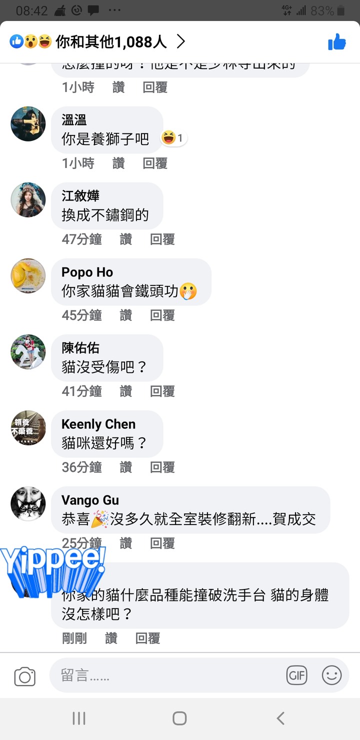 貓咪的破壞力驚人