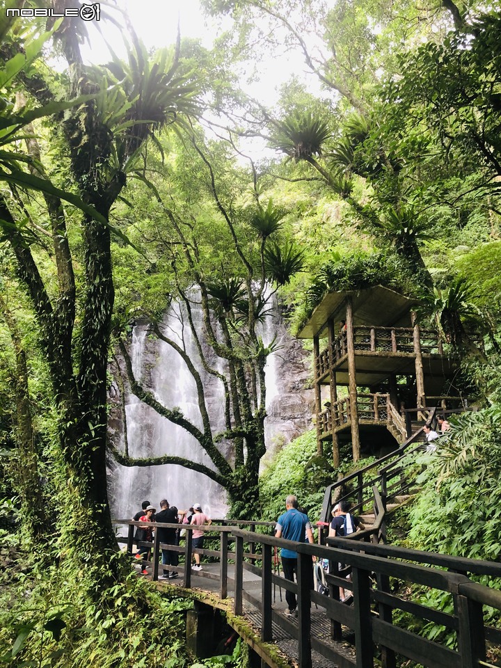 【小惡魔振興券】 炎炎夏日來去三峽滿月圓國家森林遊樂區享受天然冷氣,以及大口呼吸芬多精