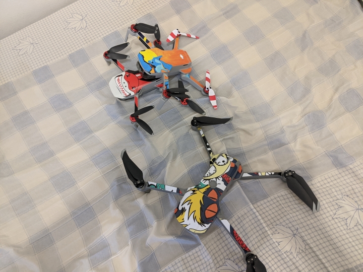 懷胎6個月，御mini終於生仔仔了