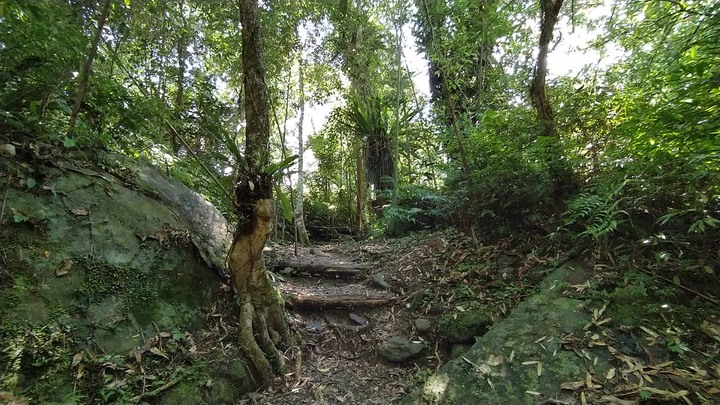 [樂山童盟] [新北烏來] 大羅蘭(古圳步道-溪瀧步道)