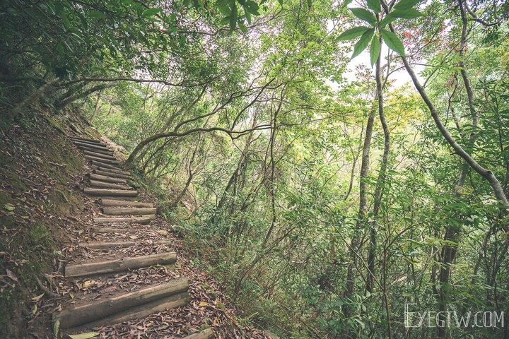 [遊記]花蓮｜太魯閣國家公園Tarokoo National Park｜錐麓古道Zhuilu Old Road｜日治時代的警備道路｜看見不一樣的太魯閣｜國內外申請教學
