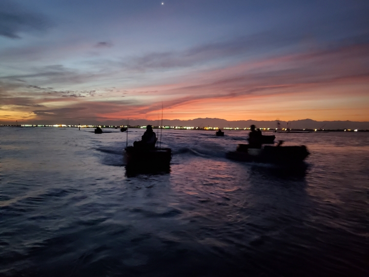 夏日的外傘頂洲爽拉黑鯛
