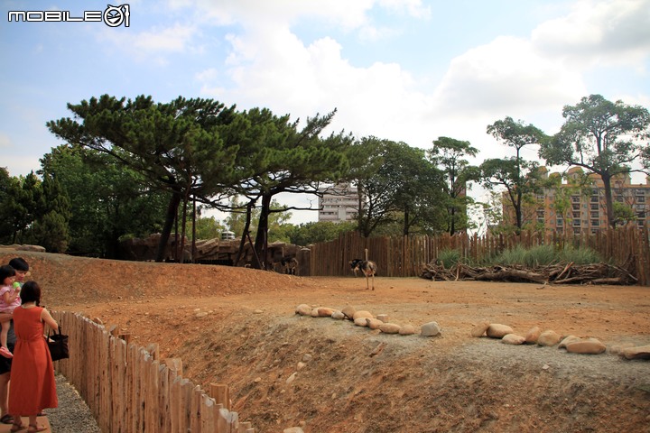 【小惡魔振興券】新竹市立動物園。2019年底重新開幕，逛全台現存最古老動物園，還能欣賞日治時期古蹟