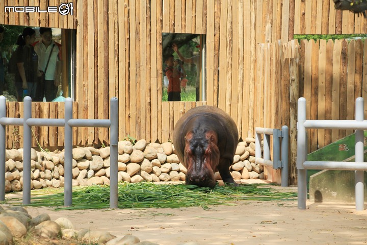 【小惡魔振興券】新竹市立動物園。2019年底重新開幕,逛全台現存最古老動物園,還能欣賞日治時期古蹟