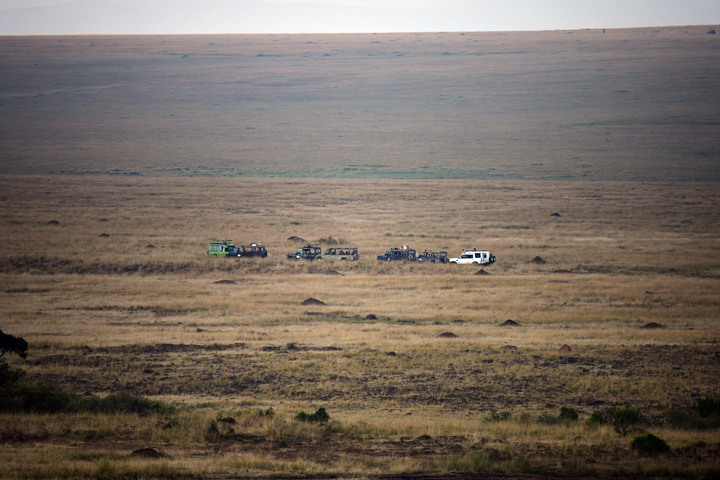 點我看大圖 Kenya Safari │ 動物大遷徙 Day 7
