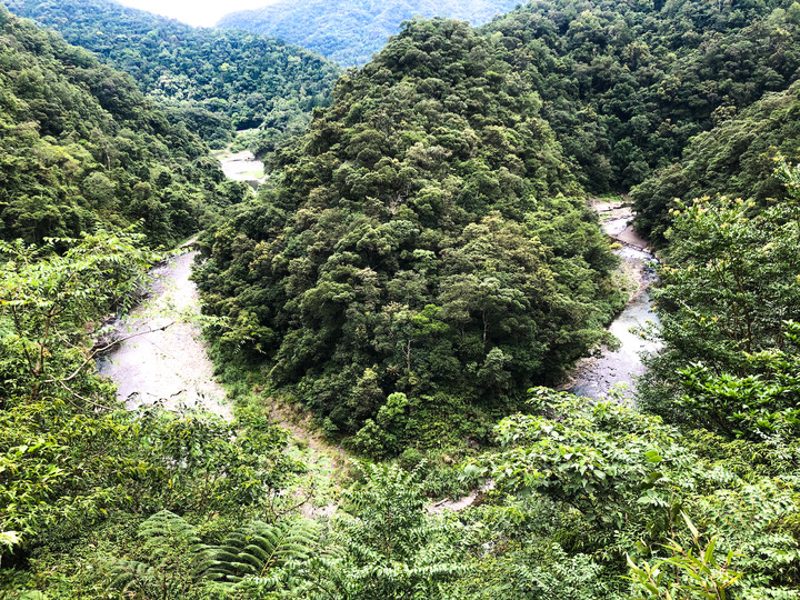 ***桶後林道單車野營***