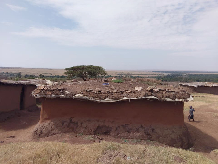 點我看大圖 Kenya Safari │ 動物大遷徙 Day 7
