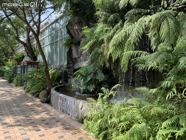 【小惡魔振興劵】台中悠閒景點 Glocke Bakery G貓甜點+台中市科博館(植物園)+彩虹村