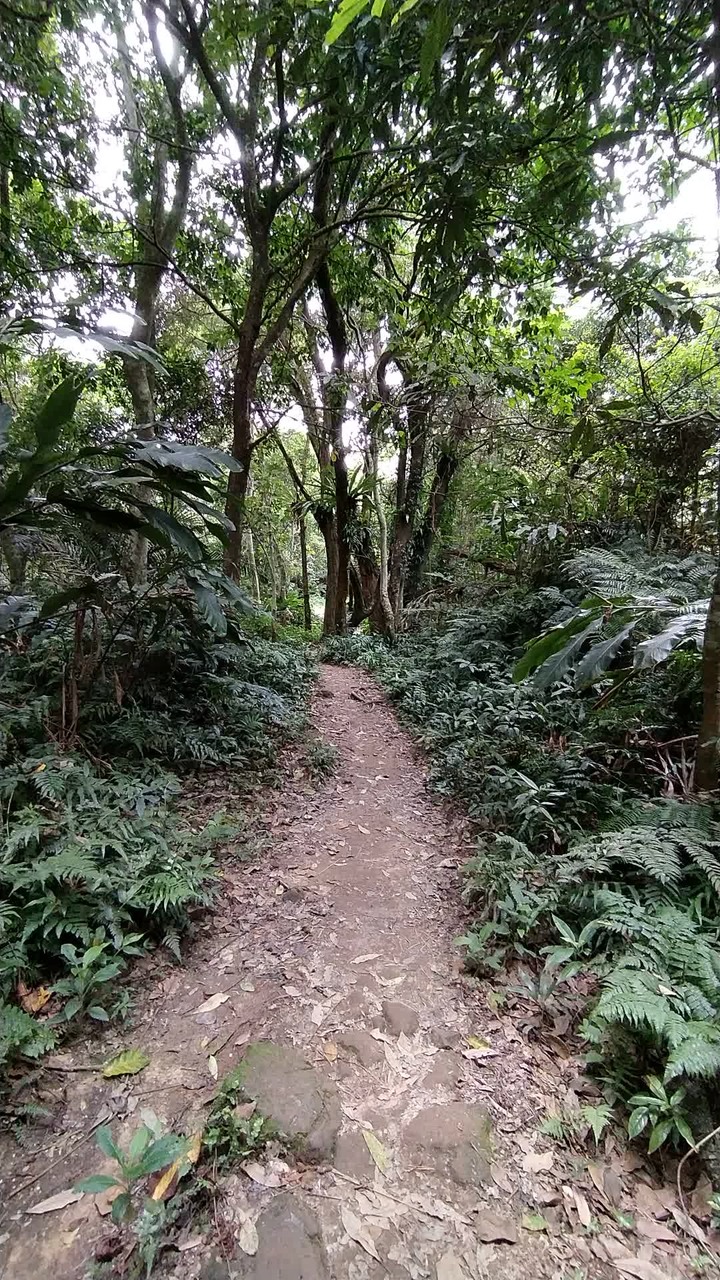 [樂山童盟] [桃園大溪] 溪洲山步道(新溪洲山-石門水庫)
