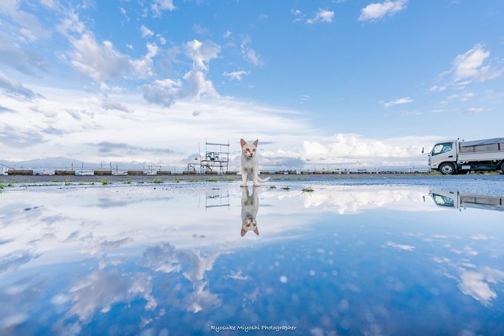 雨後的天空之境~漫步在雲端的喵星人