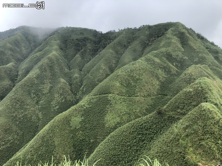 [有圖]抹茶山風景~請問什麼器材可以鍛鍊爬山體能