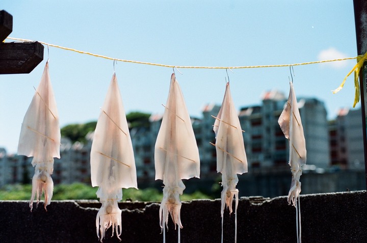 點我看大圖 分享 OLYMPUS OM1 2019 測評