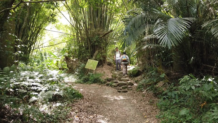 [樂山童盟] [桃園大溪] 溪洲山步道(新溪洲山-石門水庫)