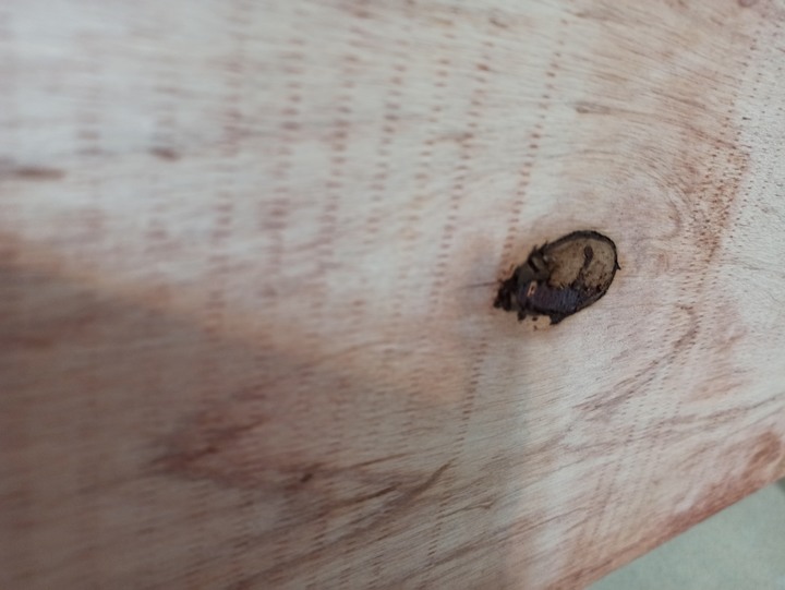 想請教 木板上這黑黑像燒焦的是什麼