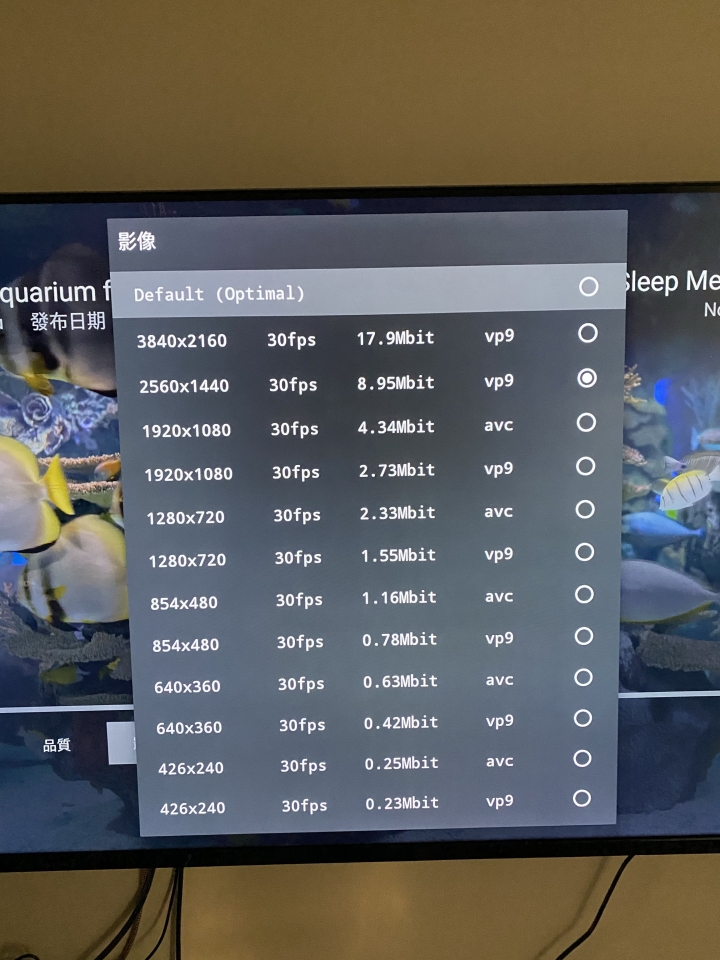 Philips 4k 無法觀看高解析度影片