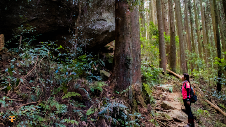 攻頂台版富士山｜加里山包車攻頂一日遊
