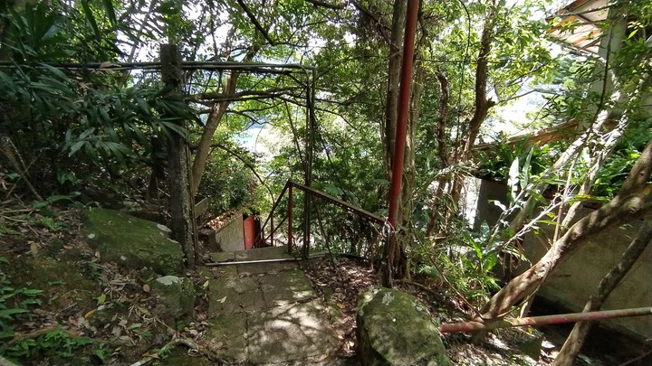 [樂山童盟] [桃園大溪] 溪洲山步道(新溪洲山-石門水庫)