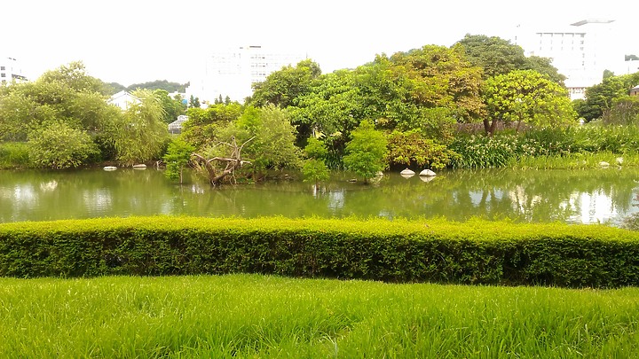 【小惡魔振興劵】 台北輕旅行,在都市中感受田園光和穿越時空的日式風情 - 台灣大學