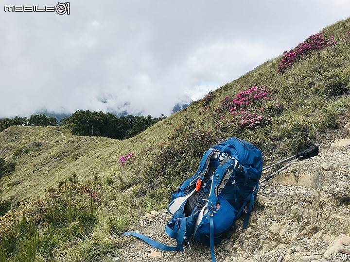 【百岳】武陵四秀2日行 – Day 2