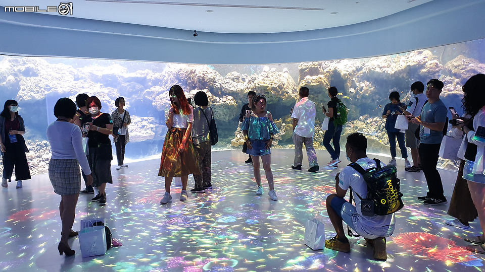 搶先看!桃園 Xpark 水族館 夢幻鯊魚悠遊X企鵝陪你喝咖啡