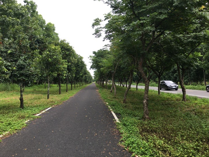 屏 東 萬 金 糖 鐵 自 行 車 道