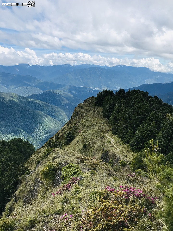 【百岳】武陵四秀2日行 – Day 2